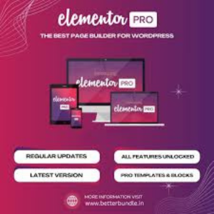 Elementor pro v4.0.4